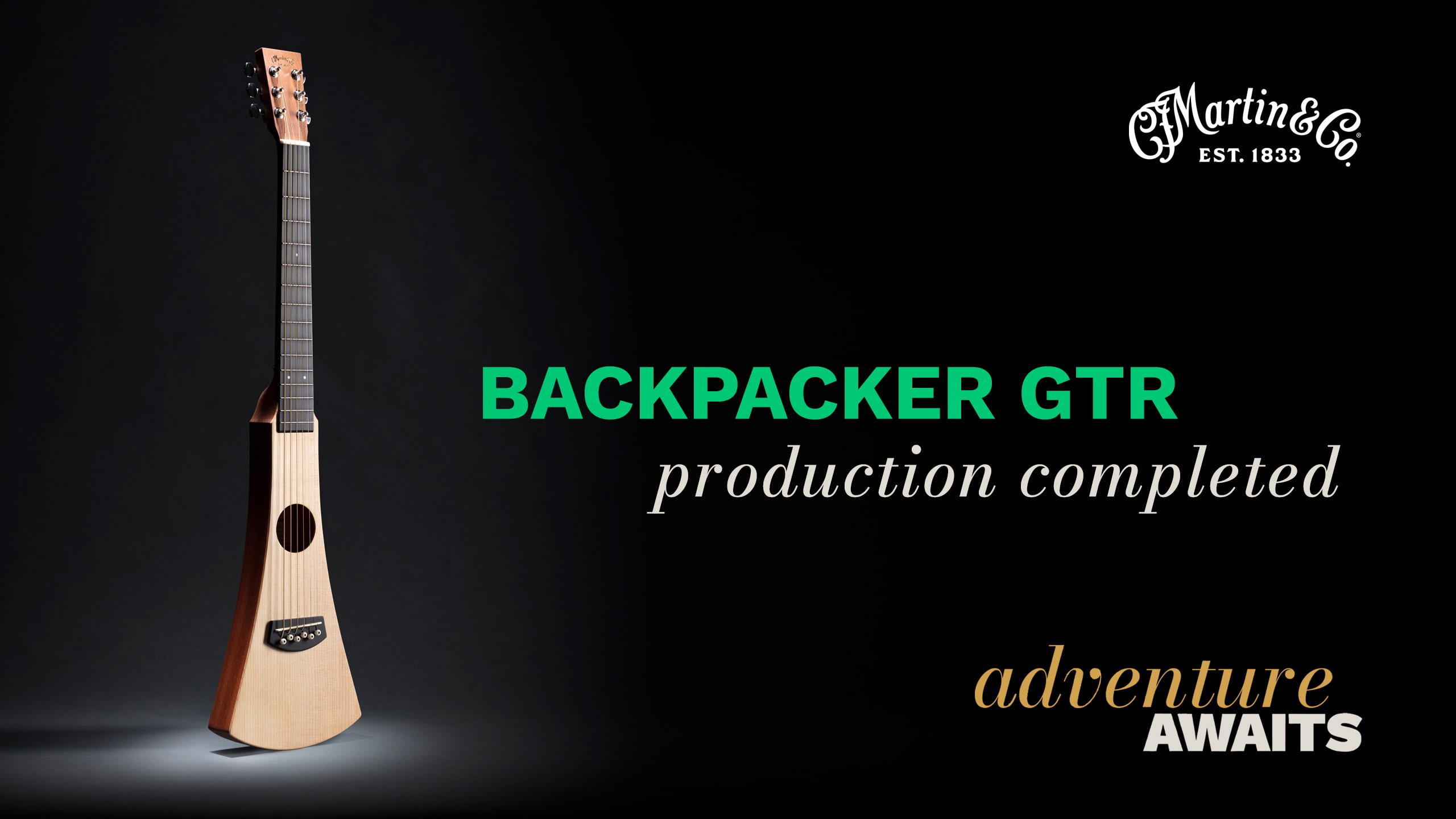 Martin Guitar BACKPACKER GTR