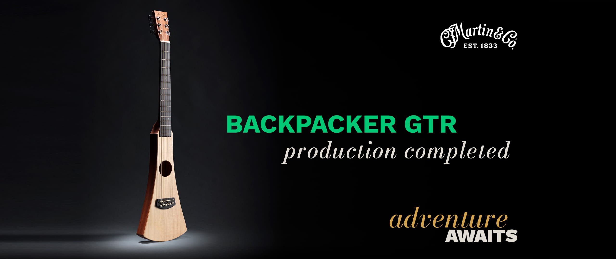 Martin Guitar BACKPACKER GTR