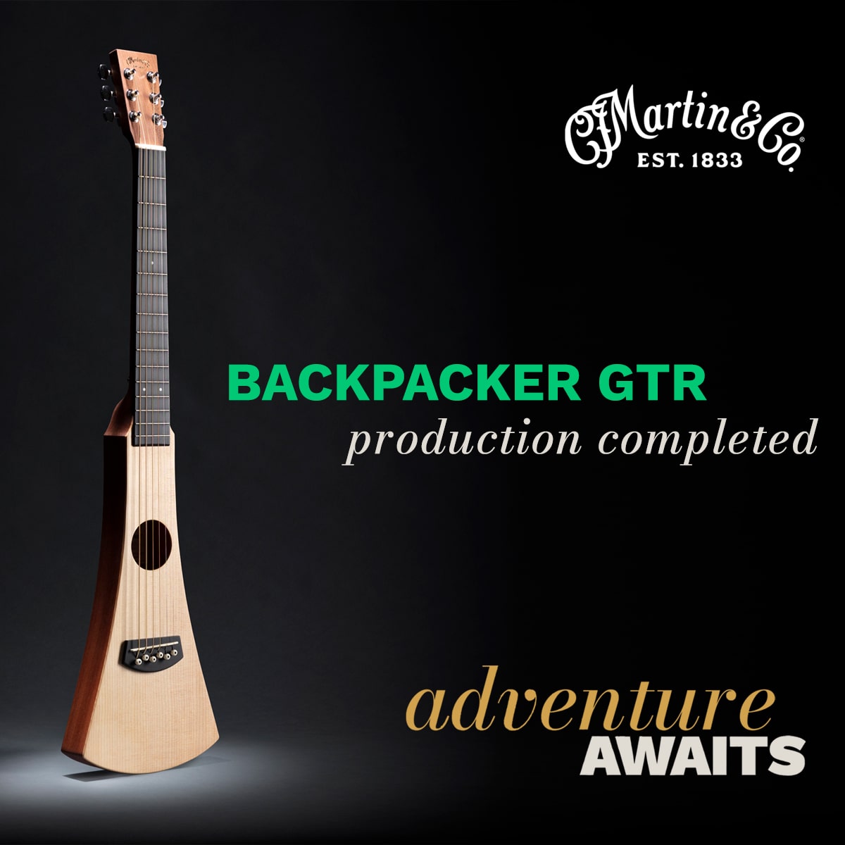 Martin Guitar BACKPACKER GTR