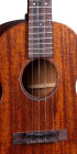 0 Tenor Uke_Label_Image