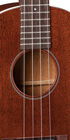 2 Tenor Uke_Label_Image