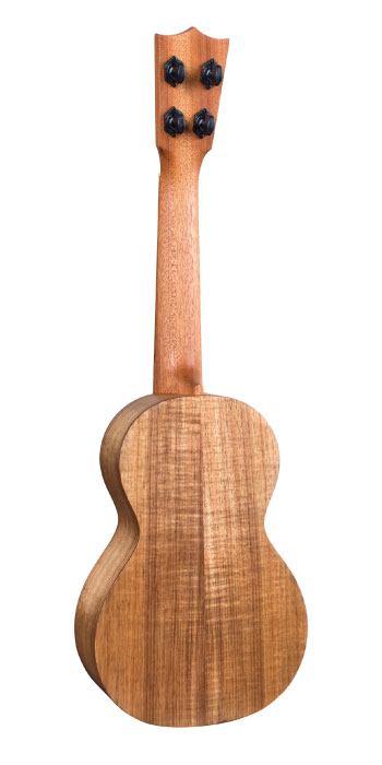 C1 Uke_Back_Image