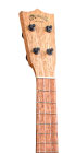 C1 Uke_Head_Image