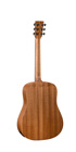 D Jr. 2E Sapele_Back_Image