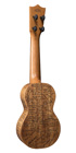 Konter Uke_Back_Image