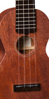 Style 1 Centennial Uke_Label_Image