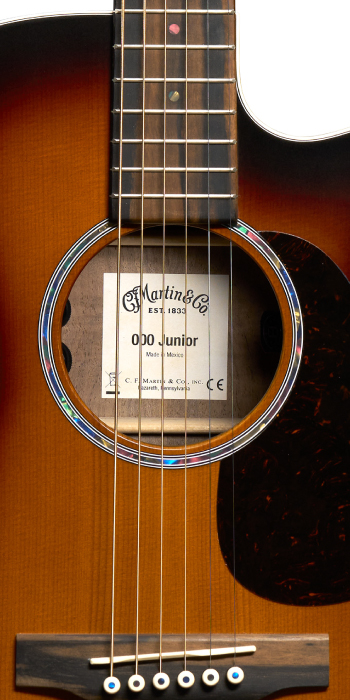 000C Jr E Walnut Burst_Label_Image