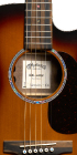 000C Jr E Walnut Burst_Label_Image