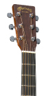 SC-10E Spruce_Head_Image