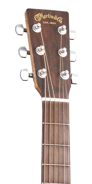 SC-10E Modern Sapele_Head_Image