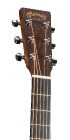 SC-10E-02 Sapele_Head_Image