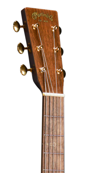 GPCE Inception™ Maple (2024)_Head_Image