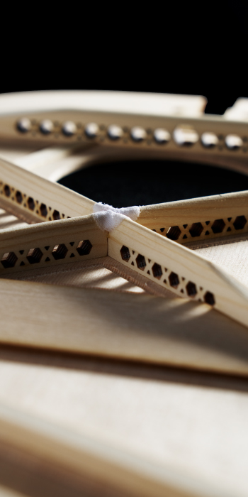 GPCE Inception™ Maple (2024)_Label_Image