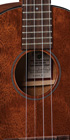 1T IZ Tenor Uke_Label_Image