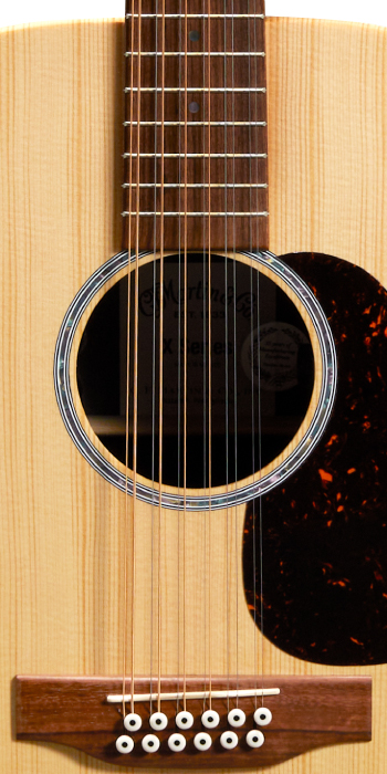 D-X2E BRAZ 12-String_Label_Image