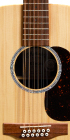 D-X2E BRAZ 12-String_Label_Image