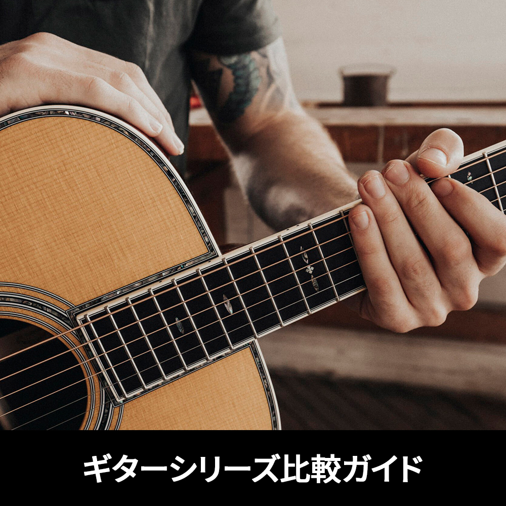 The Martin Series Guide